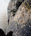 Rochers du Midi