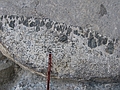 amphiboles spinifex