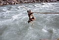 Burhi Gandaki, pont en cordes