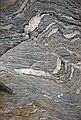 gneiss migmatisé